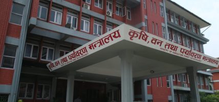 तीन महिनामा १६ ओटा ईआईए र ११ ओटा क्षेत्र निर्धारण प्रतिवेदन स्वीकृत