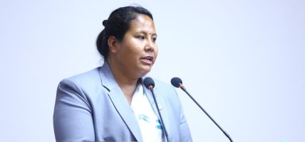 मानव-वन्यजन्तु द्वन्द्व न्यूनीकरणका लागि पहल थालेका छौँ : वनमन्त्री चौधरी