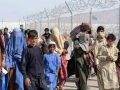 एकै दिनमा चार हजारभन्दा बढी अफगान शरणार्थी स्वदेश फर्किए एकै दिनमा चार हजारभन्दा बढी अफगान शरणार्थी स्वदेश फर्किए