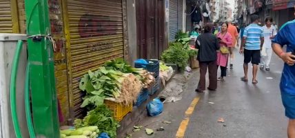 हरियो साउनमा ओझेलमा तरकारी व्यापार, मूल्यवृद्धि र सुस्त बजारले व्यापारी मारमा
