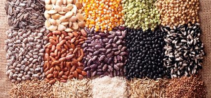 बीउ उत्पादन कार्यक्रम ५८ स्थानीय तहमा सञ्चालन