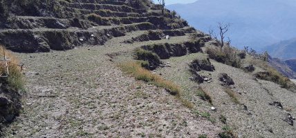 सिँचाइ कुलो निर्माणले बाँझो जमिनमा खेती