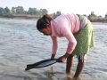 नदी उत्खननले सोनाहा जातिको सुन खोज्ने पेसा सङ्कटमा नदी उत्खननले सोनाहा जातिको सुन खोज्ने पेसा सङ्कटमा