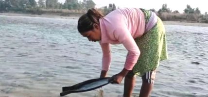 नदी उत्खननले सोनाहा जातिको सुन खोज्ने पेसा सङ्कटमा