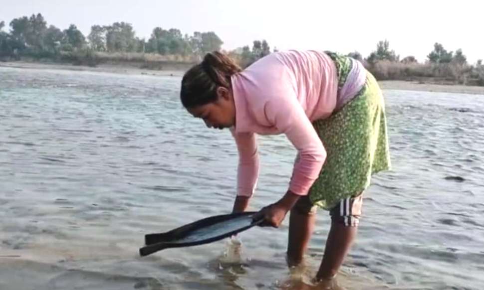 नदी उत्खननले सोनाहा जातिको सुन खोज्ने पेसा सङ्कटमा