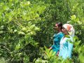 युट्युब हेरेरै व्यावसायिक कृषिमा दाङकी सुलोचना शेर्पा युट्युब हेरेरै व्यावसायिक कृषिमा दाङकी सुलोचना शेर्पा