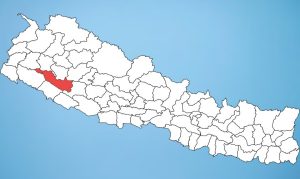 सुर्खेतका तीन किसानलाई ‘मुख्यमन्त्री उत्कृष्ट पुरस्कार’