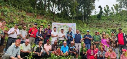 तनहुँका सामुदायिक वनमा रुद्राक्षको बिरुवा रोपन