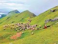 पर्यटकको रोजाइमा त्रिवेणी पाटन पर्यटकको रोजाइमा त्रिवेणी पाटन