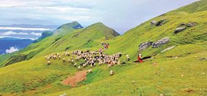 पर्यटकको रोजाइमा त्रिवेणी पाटन