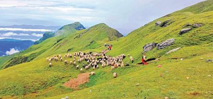 पर्यटकको रोजाइमा त्रिवेणी पाटन