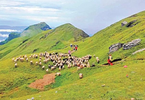 पर्यटकको रोजाइमा त्रिवेणी पाटन पर्यटकको रोजाइमा त्रिवेणी पाटन