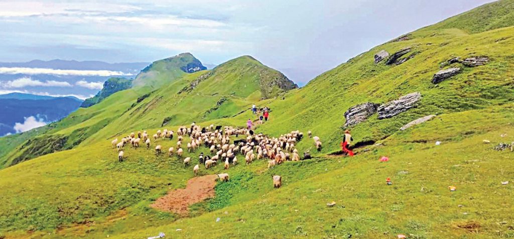 पर्यटकको रोजाइमा त्रिवेणी पाटन