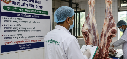 काठमाडौं उपत्यकामा मंसिरदेखि मासु जाँच अनिवार्य, देशभर चरणबद्ध कार्यान्वयन हुँदै