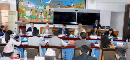 जेनजी आन्दोलनमा १७९ निकायका स्रेस्ता जले’