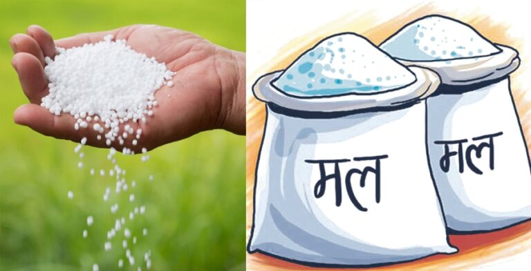 नियमित कोटाको रासायनिक मल वितरण गरिँदै
