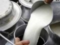 कास्कीका दुग्ध उत्पादक किसानलाई अनुदान