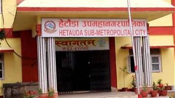 हेटौँडामा विजयसालको बीउ सङ्कलन गरिँदै