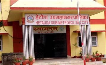 हेटौँडामा विजयसालको बीउ सङ्कलन गरिँदै
