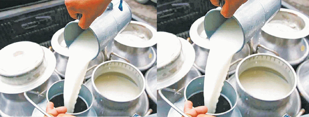 दुग्धजन्य उद्योगबाट आत्मनिर्भर बन्दै बछ्यौलीका ५० महिला