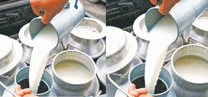 दुग्धजन्य उद्योगबाट आत्मनिर्भर बन्दै बछ्यौलीका ५० महिला