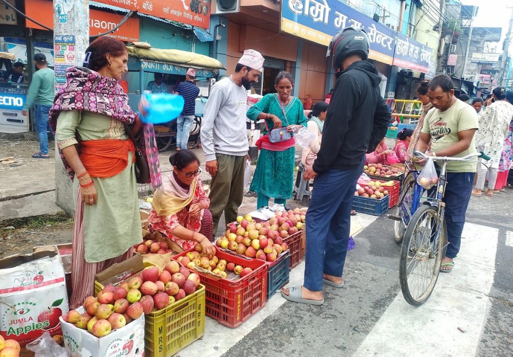 उपभोक्ताको रुचिमा कर्णालीको स्याउ