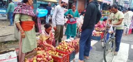 उपभोक्ताको रुचिमा कर्णालीको स्याउ