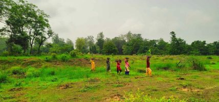 हरियाली प्रवर्द्धनः छयसट्ठी दशमलव पाँच हेक्टरमा वृक्षरोपण