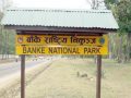 पर्यटन प्रवर्द्धनका लागि बाँके निकुन्जलाई ‘ब्रान्डिङ’ गरिँदै पर्यटन प्रवर्द्धनका लागि बाँके निकुन्जलाई ‘ब्रान्डिङ’ गरिँदै