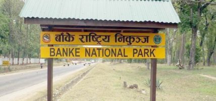 पर्यटन प्रवर्द्धनका लागि बाँके निकुन्जलाई ‘ब्रान्डिङ’ गरिँदै