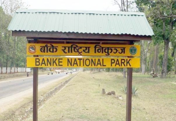 पर्यटन प्रवर्द्धनका लागि बाँके निकुन्जलाई ‘ब्रान्डिङ’ गरिँदै पर्यटन प्रवर्द्धनका लागि बाँके निकुन्जलाई ‘ब्रान्डिङ’ गरिँदै