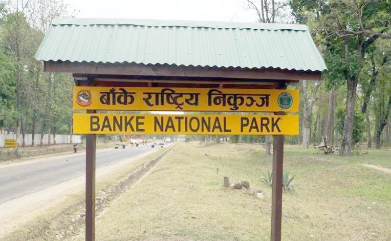 पर्यटन प्रवर्द्धनका लागि बाँके निकुन्जलाई ‘ब्रान्डिङ’ गरिँदै