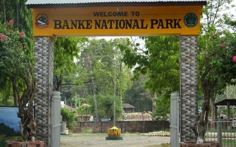 बाँके निकुञ्ज क्षेत्रमा ‘टाइम कार्ड’को समयावधि घटाइयो