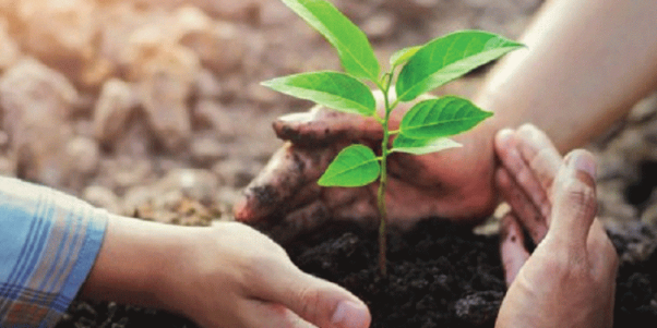 राष्ट्रिय भू संरक्षण दिवस मनाइँदै