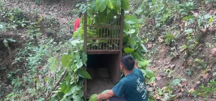 चितुवालाई नियन्त्रणमा लिन दुई ठाउँमा खोर
