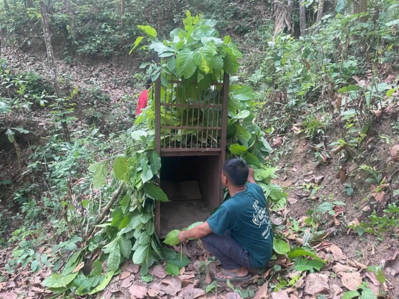 चितुवालाई नियन्त्रणमा लिन दुई ठाउँमा खोर