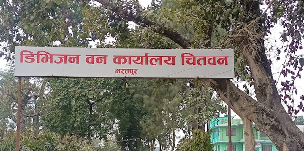 वन कार्यालय चितवनद्वारा जोखिमयुक्त रुखको तथ्यांक संकलन