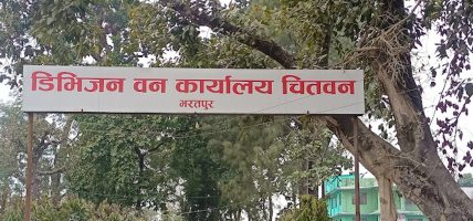 वन कार्यालय चितवनद्वारा जोखिमयुक्त रुखको तथ्यांक संकलन