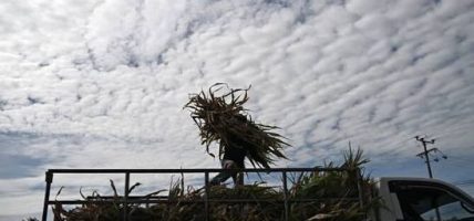 इक्वेडरमा एल निनोका कारण आपत्काल घोषणा