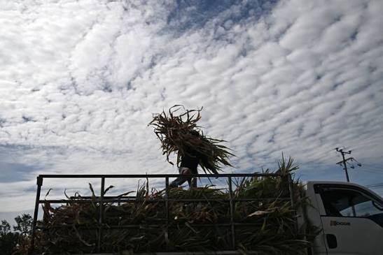 इक्वेडरमा एल निनोका कारण आपत्काल घोषणा
