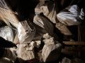 सर्लाहीमा ३ क्विन्टल गाँजा बरामद, घरधनी फरार सर्लाहीमा ३ क्विन्टल गाँजा बरामद, घरधनी फरार