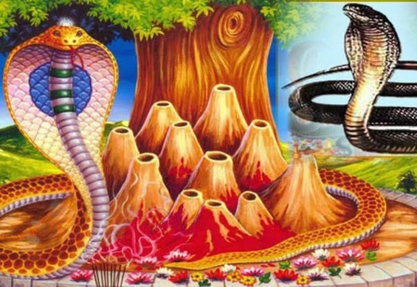 श्रावण शुक्ल पञ्चमीः नागको पूजा, आराधना गरी नागपञ्चमी पर्व मनाइँदै