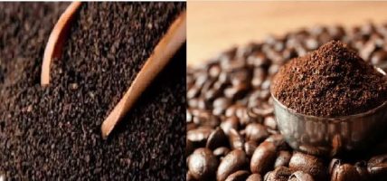 चिया तथा कफी क्षेत्रको सुधारका लागि कार्यदल गठन