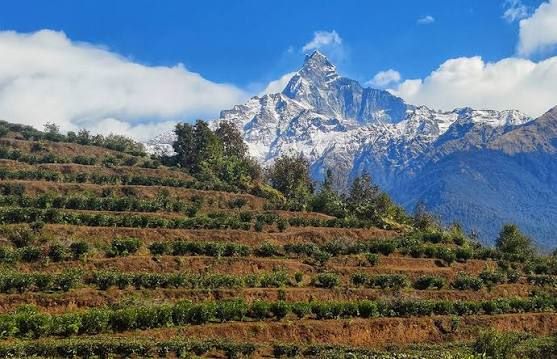 यस्तो छ माछापुछ्रे ‘इन्क्लाइन’ परियोजना