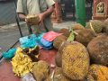 महँगो भए पनि कटहर किन्न ग्राहकको घुइँचो महँगो भए पनि कटहर किन्न ग्राहकको घुइँचो