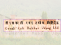 गोरखकाली रबर उद्योग सञ्चालनबारे अन्योल, चर्चा गरियो तर प्राथमिकतामा परेन् गोरखकाली रबर उद्योग सञ्चालनबारे अन्योल, चर्चा गरियो तर प्राथमिकतामा परेन्