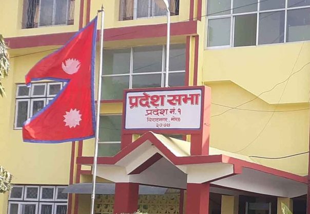 कोशी प्रदेशसभाः सैद्धान्तिक छलफल जारी