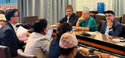 पुस्तकालय दिवसको मूल समारोह स्थगित