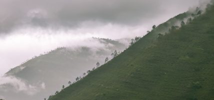 आजको मौसम : केही स्थानमा मध्यमसम्मको वर्षा