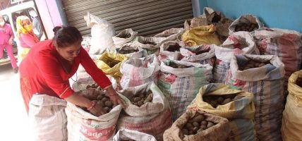 म्याग्दीमा करिब एक अर्बको आलु र सुन्तला बिक्री